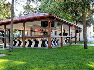 Отель Hotel Impuls Palace Видин-2